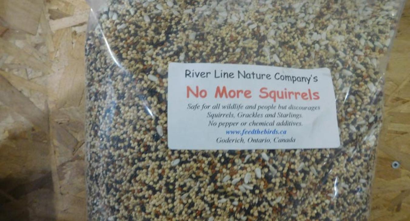 No more squirrels birdseed