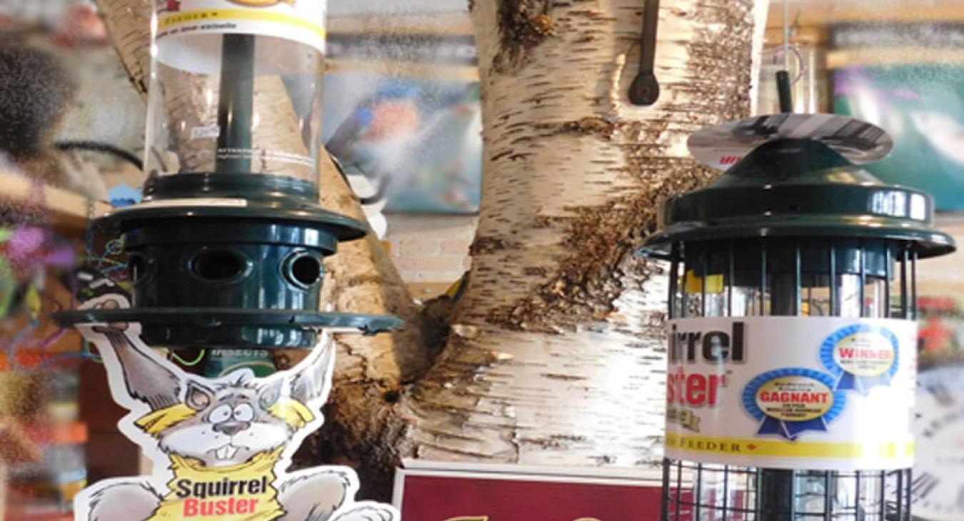 Squirrel Buster bird feeder