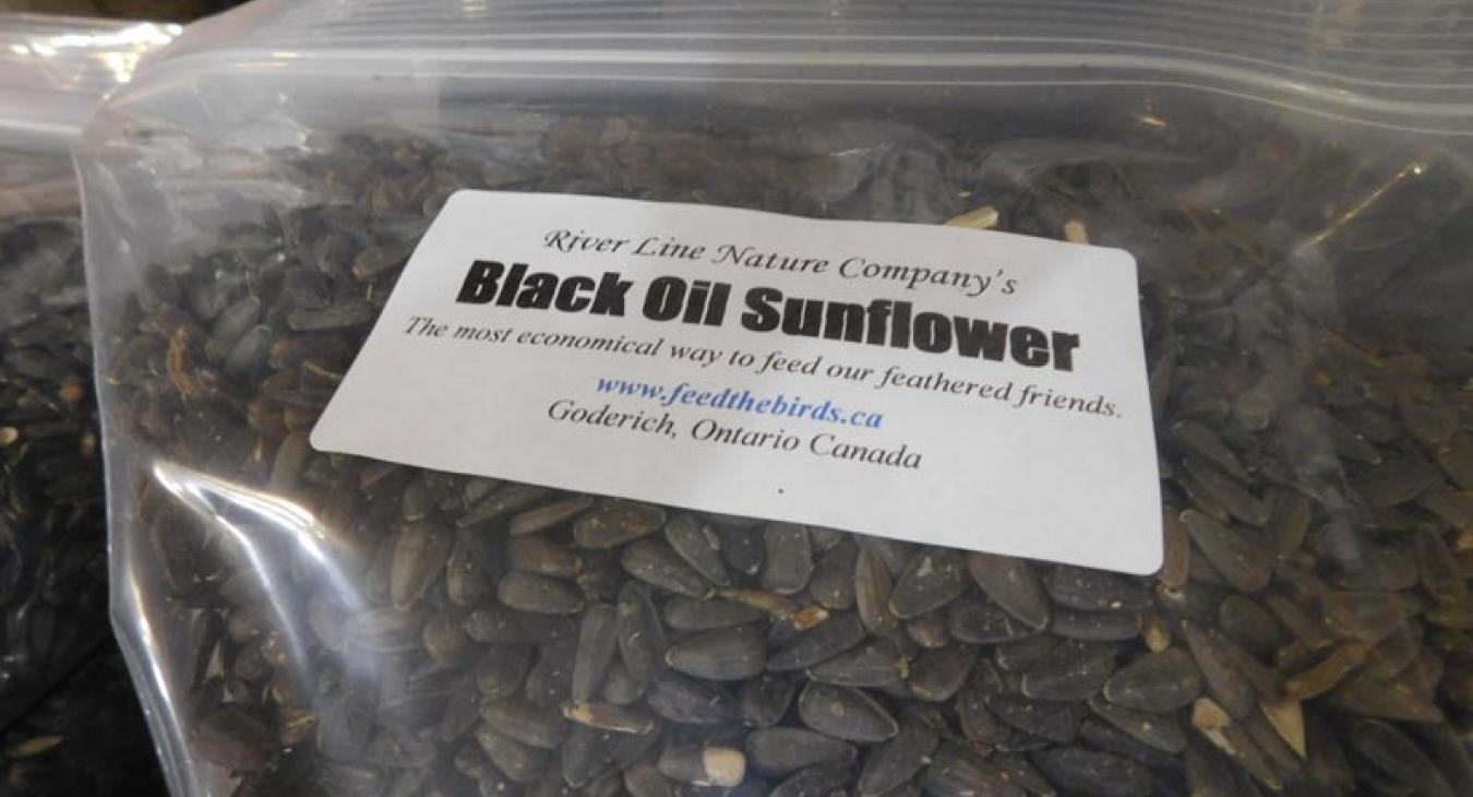 Black Oil Sunflower