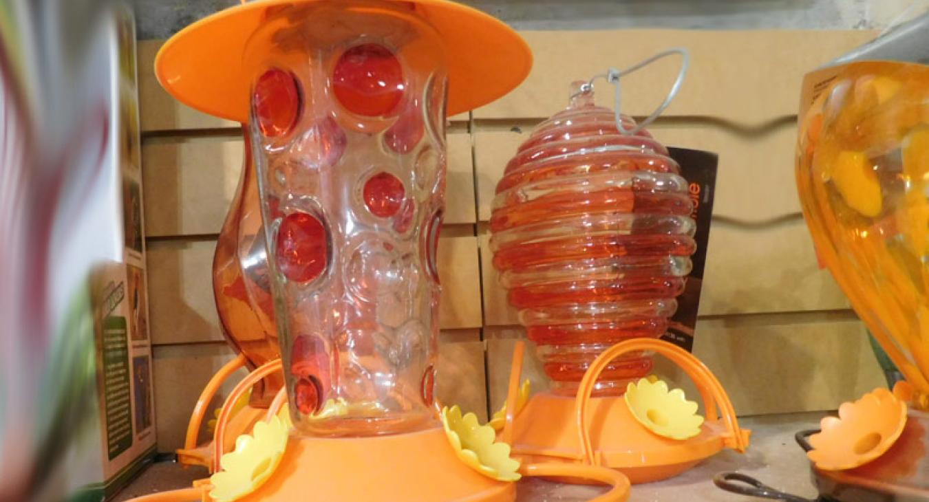 oriole bird feeders
