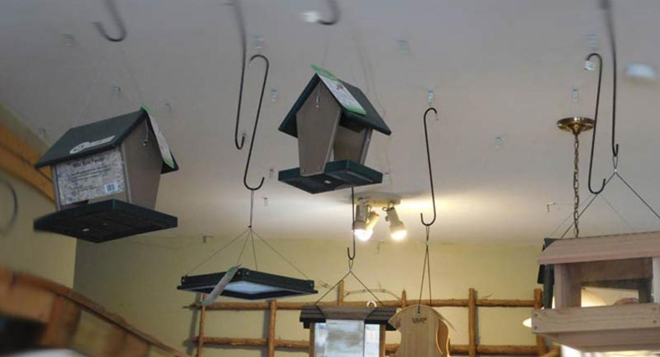 bird feeders