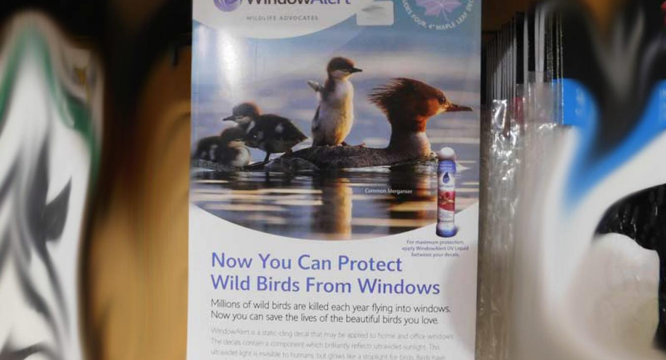 window preserver
